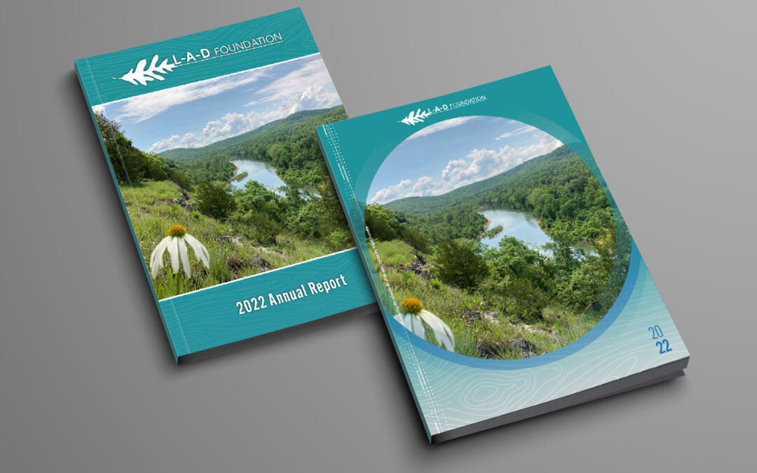 L-A-D Foundation Annual Report
