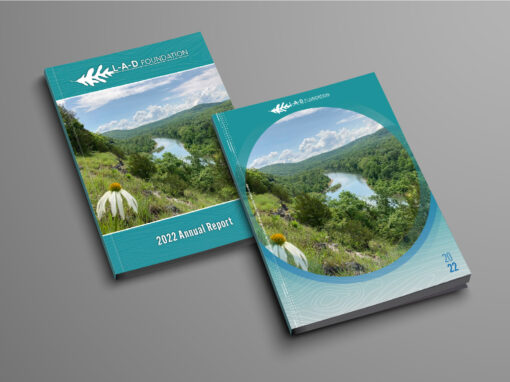 L-A-D Foundation Annual Report